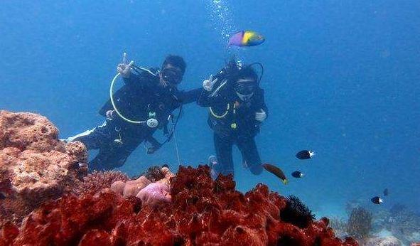 ﻿年味渐浓！糖画、剪纸、铝编…… 安徽供销年货大集上非遗“年货”受热捧